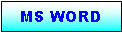 Text Box: MS WORD